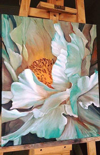 Peonia de mayo