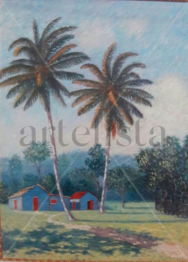 Mi Campo-2