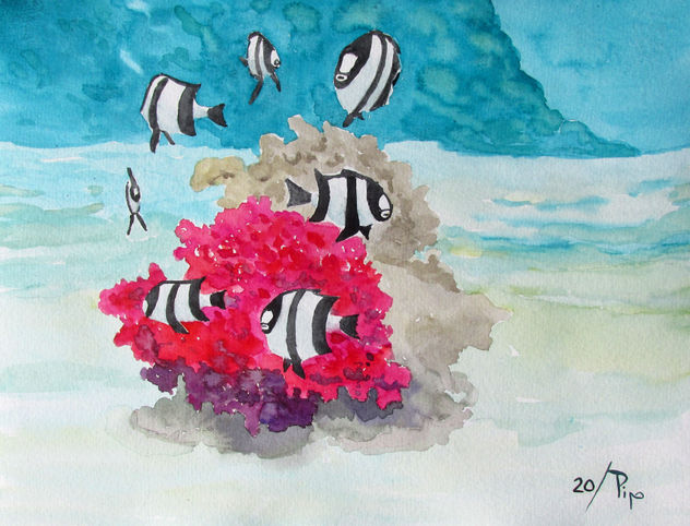 corales con peces