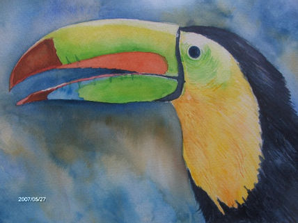 Tucan