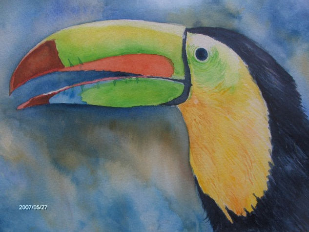 tucan Acuarela Papel Animales