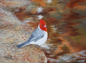 Cardenal