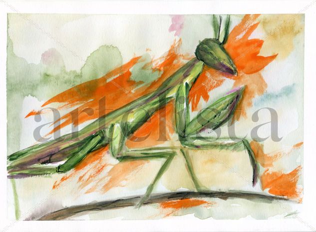 Mantis 01 Acuarela Papel Animales