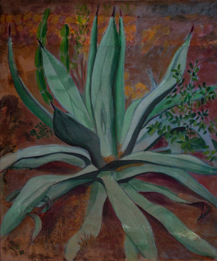 Pitera