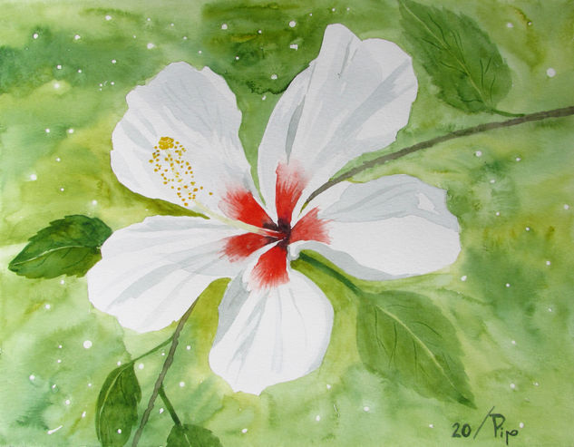 hibisco blanco Watercolour Paper Floral Painting