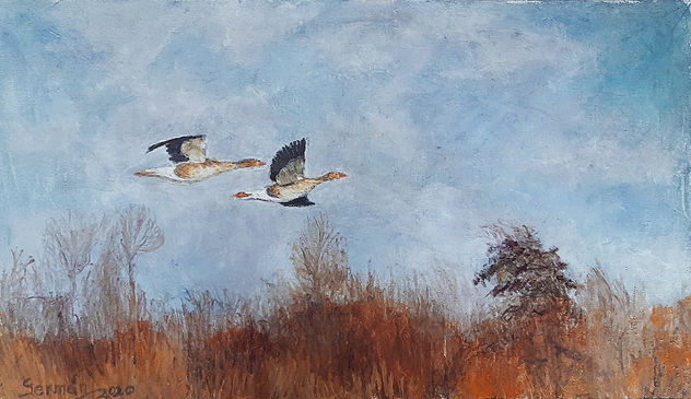 vuelo de gansos