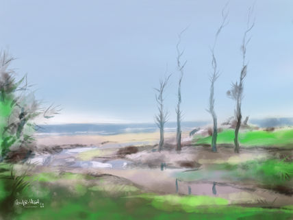 Playa de Luaña...