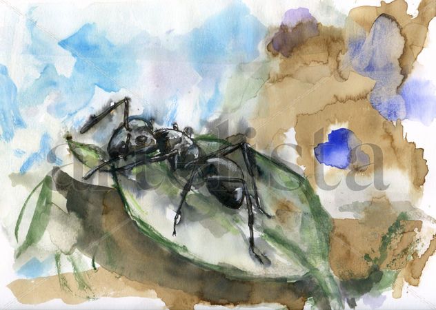 Hormiga 005