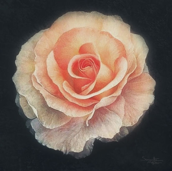 Rosa Oil Canvas Floral Painting