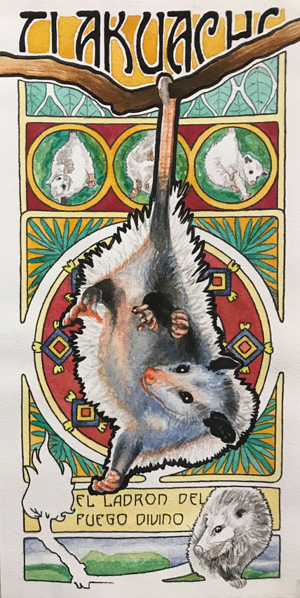 Tlakuache