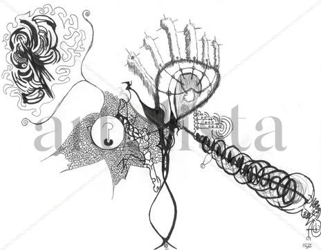 Fracture