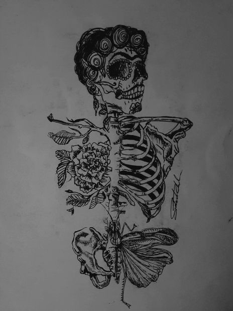 Morfología