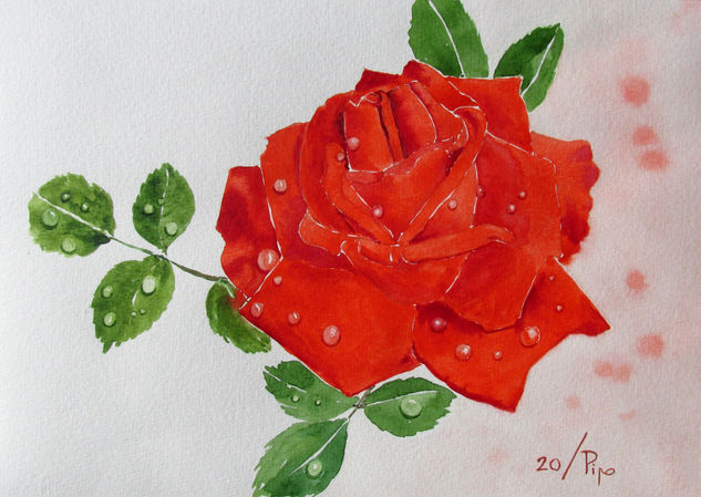 rosa roja mojada Watercolour Paper Floral Painting