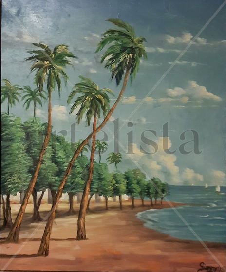 Playa