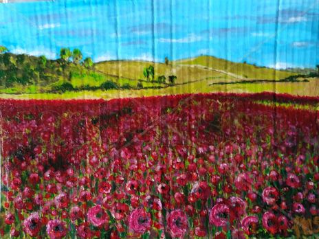 Campo de amapolas...