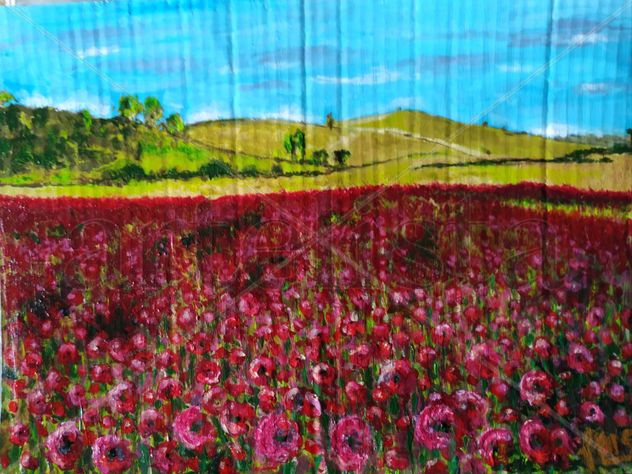 Campo de amapolas para mi