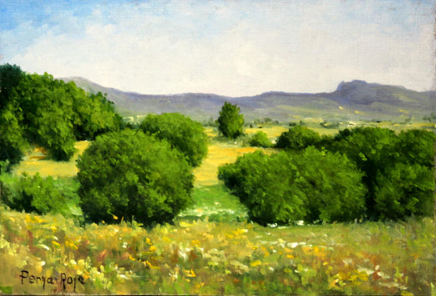 Paisaje mediterráneo Oil Canvas Landscaping