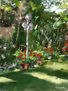 Rincón del jardín