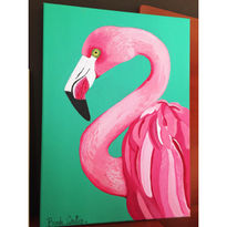 Flamingo