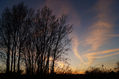 Atardecer rosa con árboles en el campo