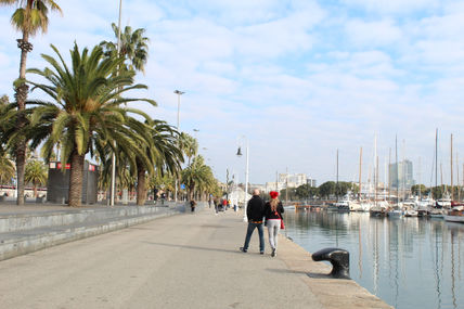 Paseando por el...