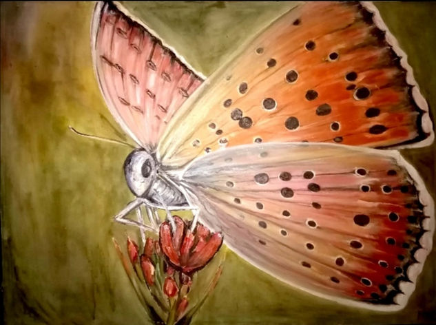 Mariposa. ( José Luis Pavés, año 2018,  Constitucion, Chile) Acrylic Canvas Floral Painting