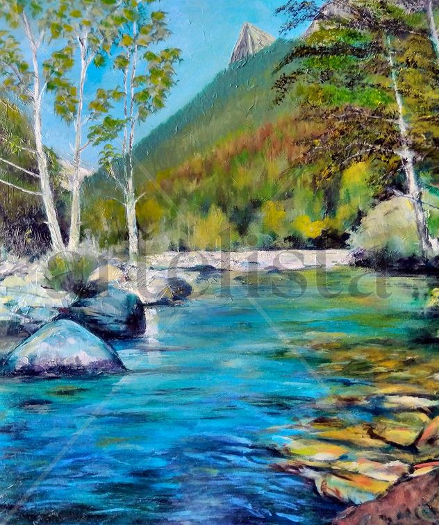 Rio Araza