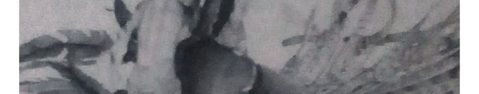 Imagen de portada