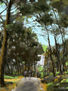 Camino del Balneario