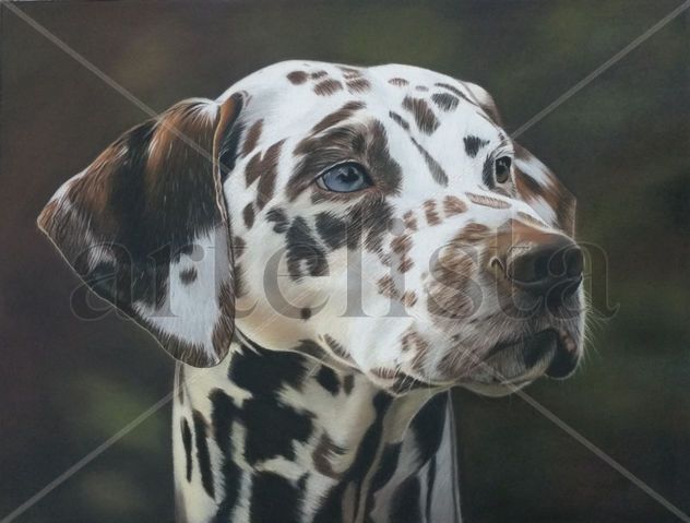 Retrato de perro
