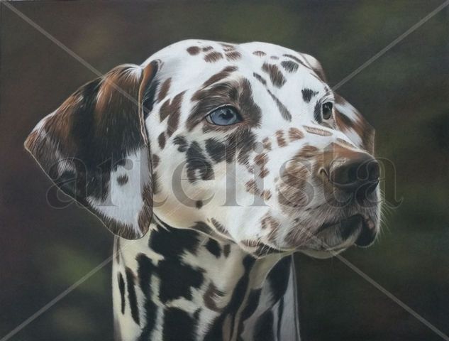 Retrato de perro Pastel Papel Animales