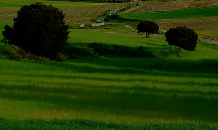 Rapsodia en verde