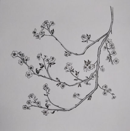 Flor cerezo