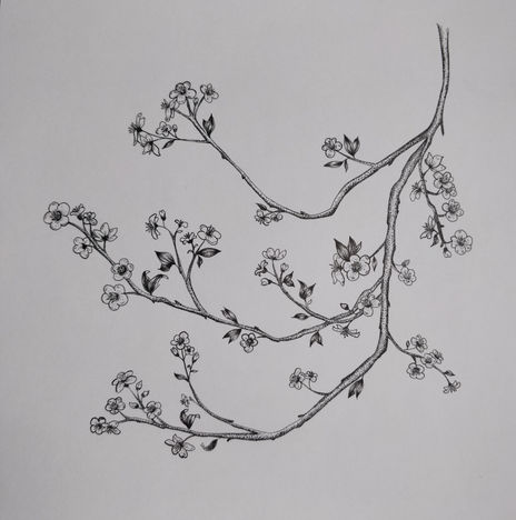 Flor cerezo