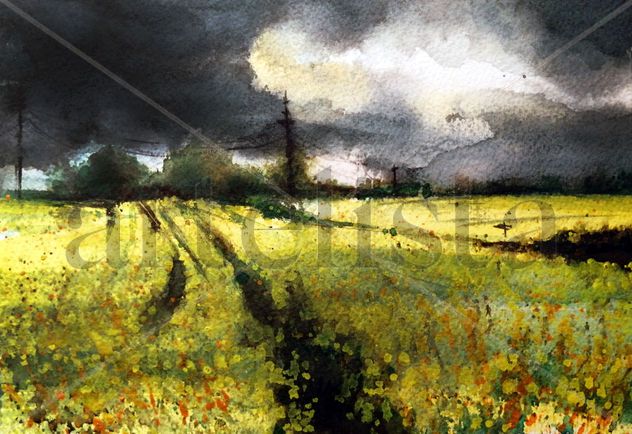 Campos de colza