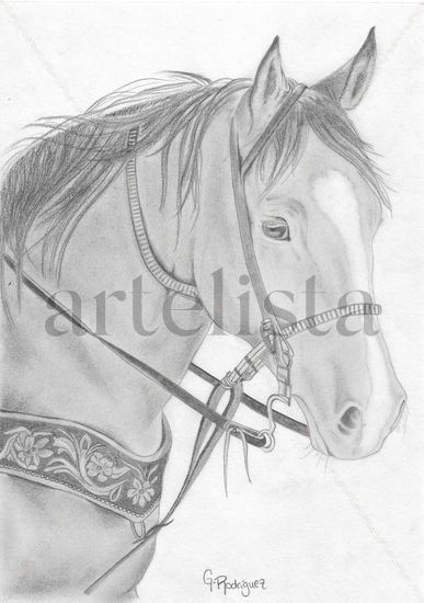 Horse Graphite