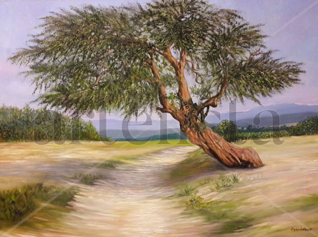 HUARANGO IQUEÑO Oil Canvas Landscaping