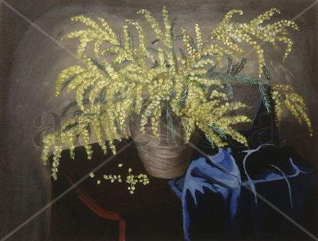Mimosas de la Arboleda