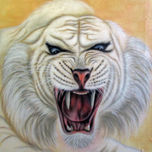 animals thumbnail 2