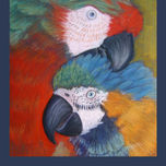 ILUSTRACIÓN thumbnail 1