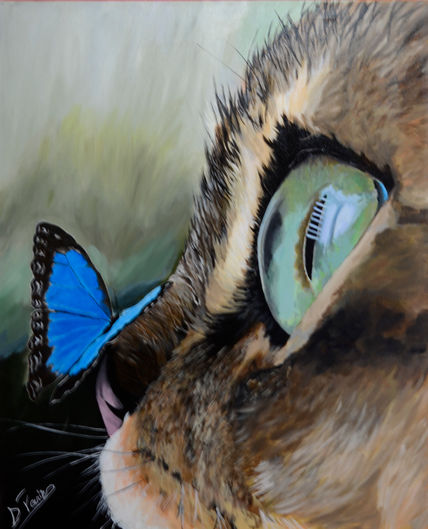Gato con mariposa