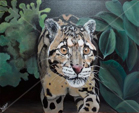 Leopardo nebulosa
