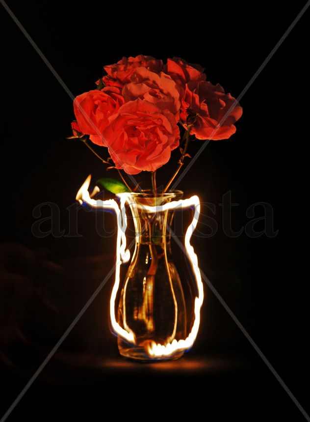 Rosas iluminadas con fuego