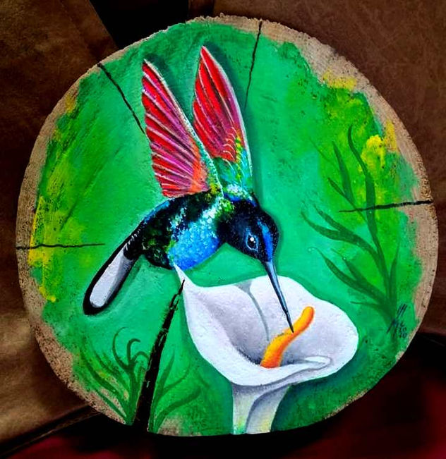 COLIBRÍ HONDUREÑO