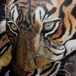 Felinos thumbnail 2