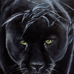 Felinos thumbnail 1