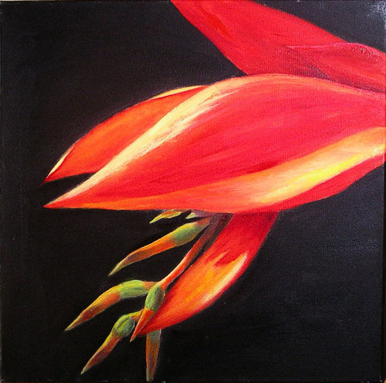 Rojo y negro Oil Canvas Floral Painting