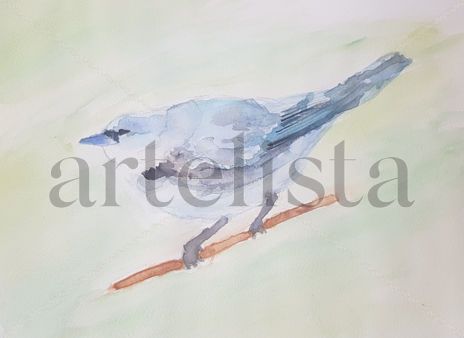 Retrato Cerulean...