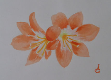 Flores en el...