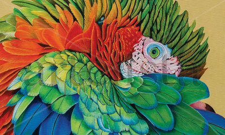 Colorful Nature